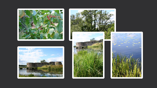 webdesigninfo-banner