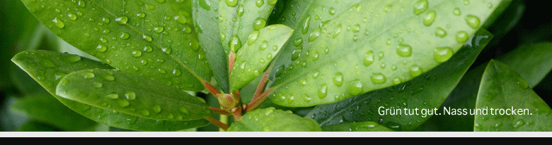 webdesigninfo-banner