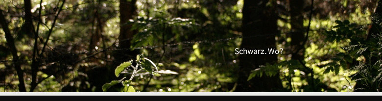 webdesigninfo-banner